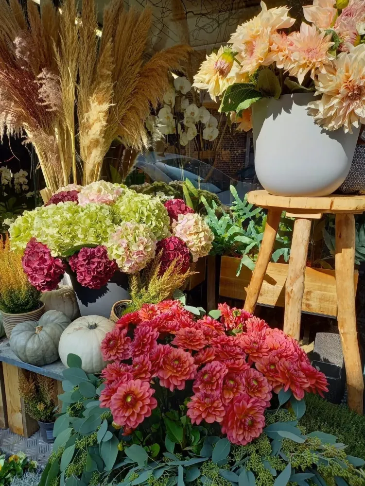 boutique-temp_file_1780392070465 (7)